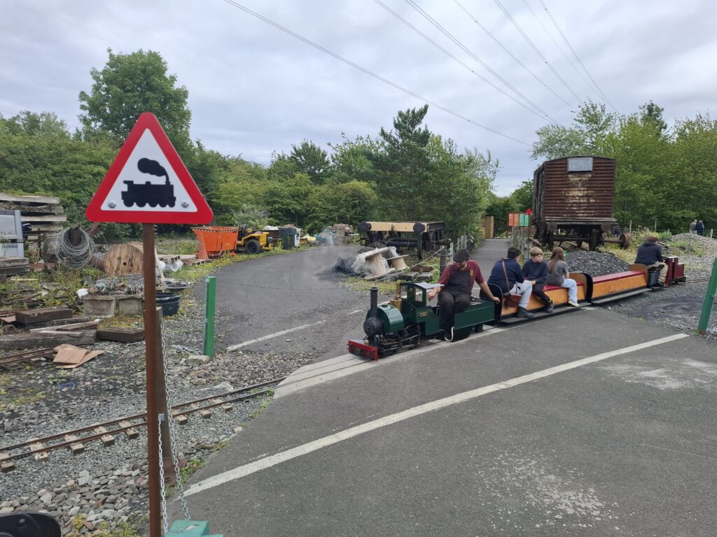 Loki hauling a train over the mini level crossing